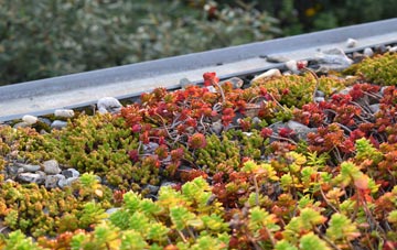 the cost of Airmyn green roof installation